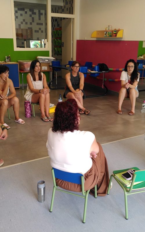 formacio_niu-4