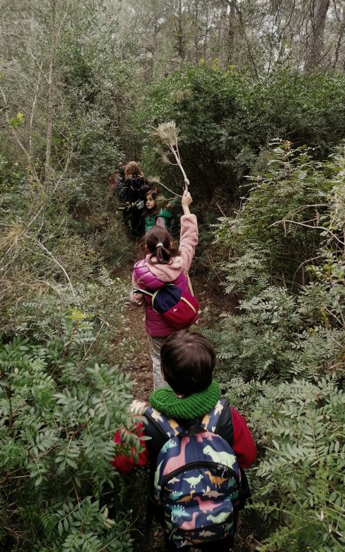 llavoretes exploradores (7)