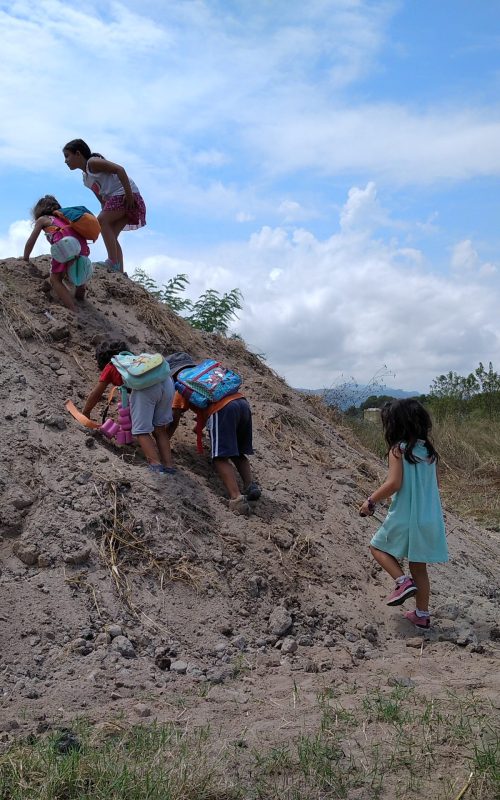 llavoretes exploradores