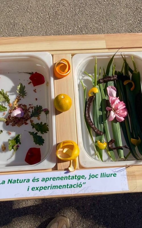 ludoteca natura (1)